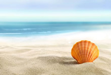 法國法令2019-1007協(xié)調(diào)與某些非食品產(chǎn)品安全有關(guān)的監(jiān)管規(guī)定